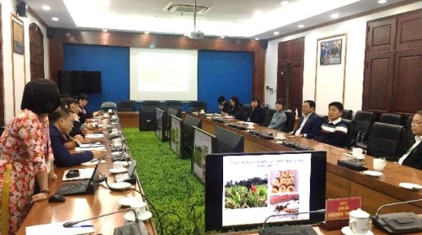 Học viện Nông nghiệp Việt Nam đẩy mạnh hợp tác đào tạo, nghiên cứu khoa học và chuyển giao công nghệ với các DN
