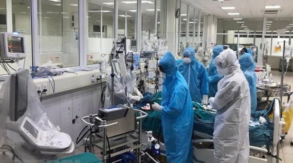 Việt Nam thử nghiệm tiêm vắc-xin phòng COVID-19 trên chuột