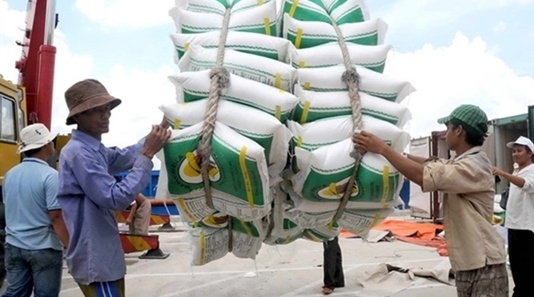 Trung Quốc tăng mua gạo nếp từ Việt Nam