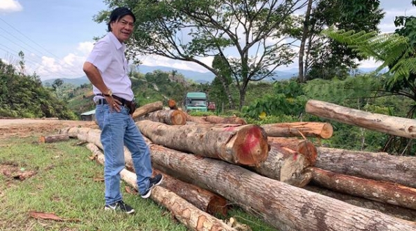 Thủ tướng yêu cầu xử lý nghiêm vụ phá rừng ở Kon Tum