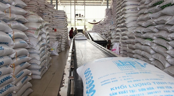 Làm rõ, xử lý nghiêm sai phạm trong đấu thầu mua gạo dự trữ quốc gia 2020
