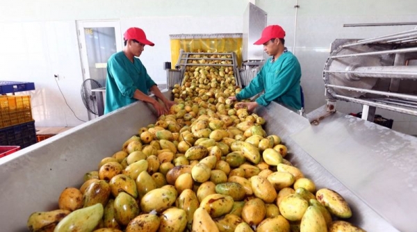 Người Nhật, Mỹ… mạnh tay mua nông sản Việt
