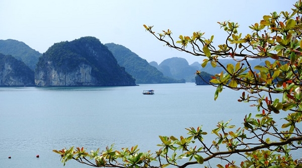 Đề xuất miễn phí thăm vịnh Hạ Long cho người dân cả nước trong tháng 5