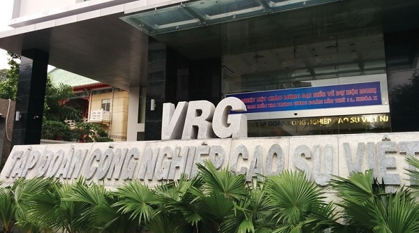 Đề nghị xử lý trách nhiệm tập thể, cá nhân tại Tập đoàn Công nghiệp Cao su Việt Nam