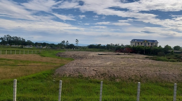 Nghệ An: Chưa xong thủ tục, chi nhánh BOT tuyến tránh Vinh đã san lấp hàng ngàn m2 đất nông nghiệp