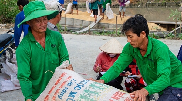 Giá gạo Việt Nam xuất khẩu tăng cao nhất trong vòng gần 1 năm qua