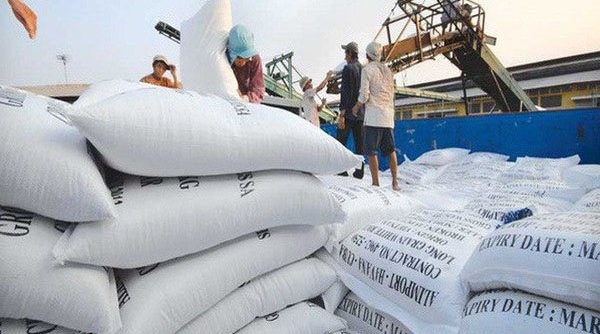 Giá trị xuất khẩu gạo tăng mạnh gần 19%, giá cao nhất trong nhiều năm