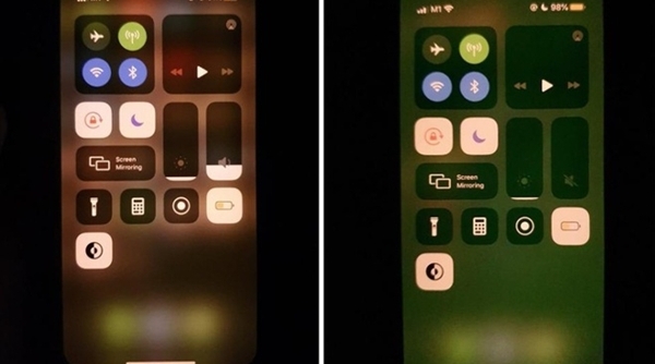 Apple hứa sửa lỗi miễn phí màn hình ám xanh trên iPhone