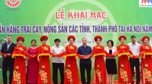 Hà Nội: Khai mạc Tuần hàng trái cây, nông sản các tỉnh, thành phố 2020