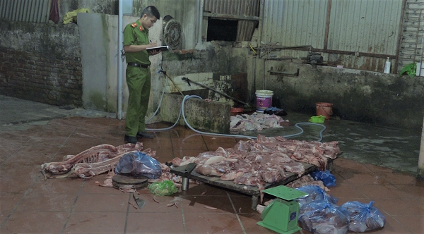 Hải Dương: Phát hiện cơ sở giết mổ lợn không có giấy phép