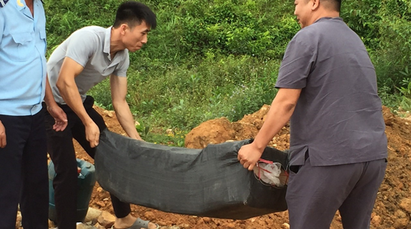 Hải quan Quảng Ninh phát hiện xe tải vận chuyển 3,3 tấn lòng lợn sấy khô nhập lậu