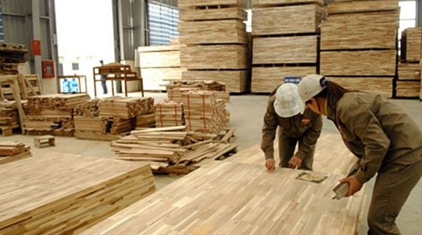Mỹ chính thức điều tra chống lẩn tránh thuế với gỗ dán của Việt Nam