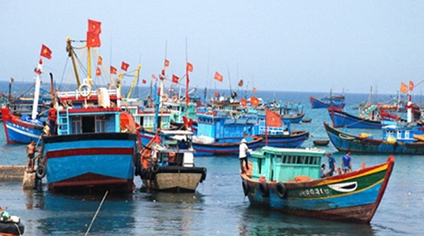 Quảng Ninh tăng cường chống khai thác, đánh bắt thủy hải sản bất hợp pháp