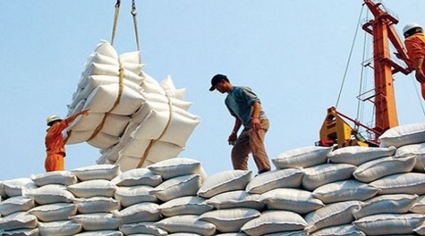 Sẽ xuất khẩu khoảng 2,3 - 2,5 triệu tấn gạo