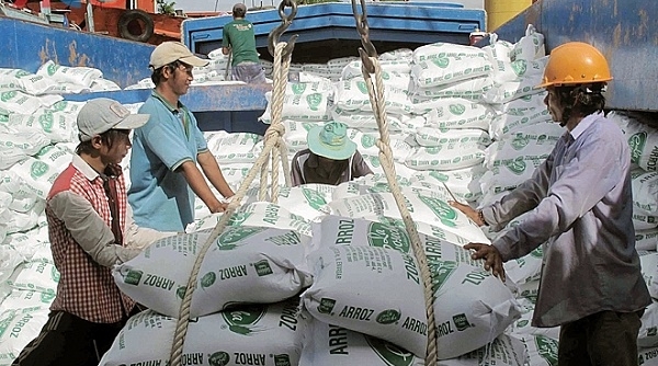 Việt Nam trúng thầu cung cấp 30 nghìn tấn gạo trắng cho Philippines