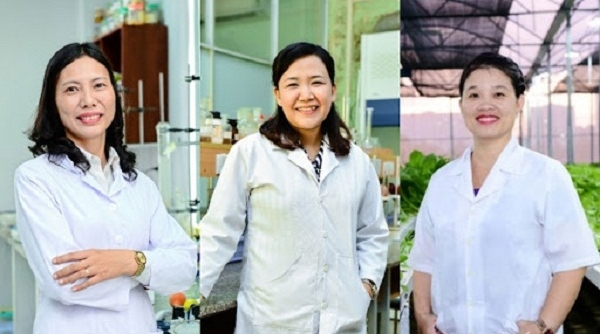 Việt Nam có 3 nhà khoa học lọt top 100 nhà khoa học tiêu biểu châu Á