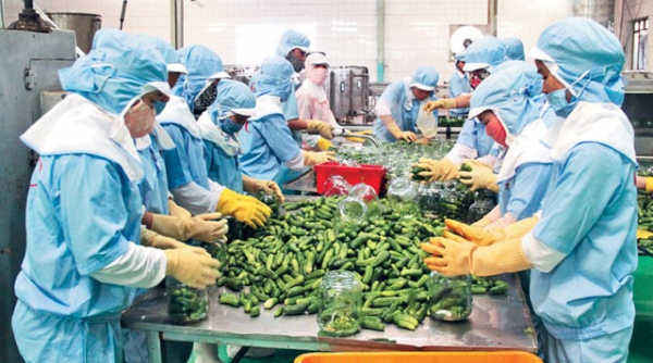 Bộ Công thương khuyến nghị hoạt động xuất khẩu hàng nông sản, thủy sản sang Trung Quốc