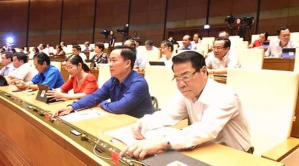 Đà Nẵng:Thí điểm chính quyền đô thị cấp quận, phường không còn Hội đồng Nhân dân