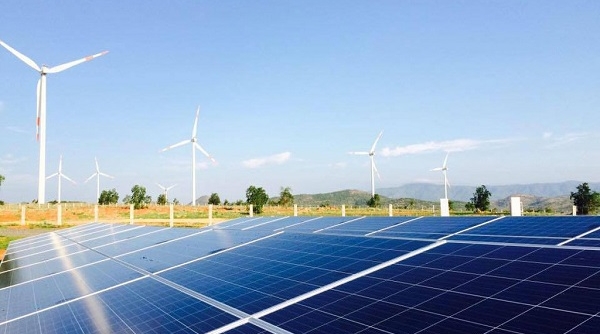 Cà Mau: Dự án năng lượng tái tạo có 30 nhà đầu tư đang chờ rót vốn