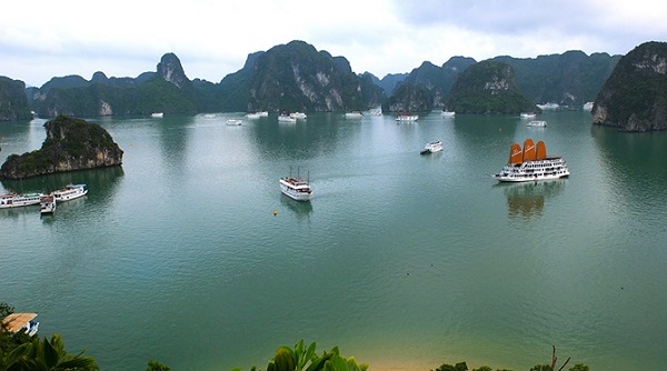Quảng Ninh: Miễn phí nhiều điểm tham nhằm kích cầu du lịch