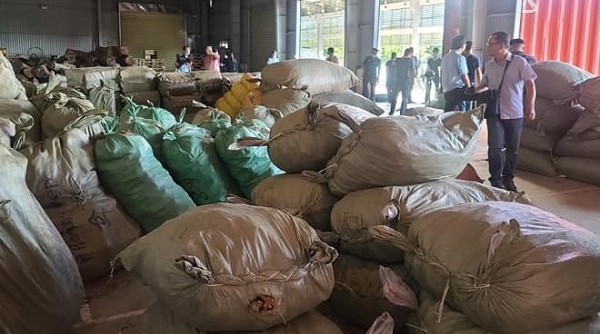 Tạm giữ hơn 100 tấn nguyên liệu thuốc bắc nhập lậu