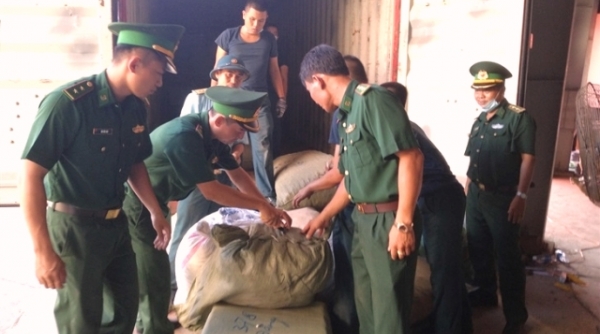 Đà Nẵng: Phát hiện hơn 100 tấn dược liệu “đội lốt” hàng nông sản cập cảng Tiên Sa