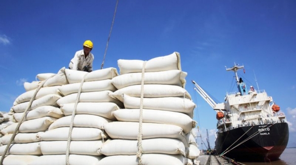Giá gạo xuất khẩu đạt mức kỷ lục