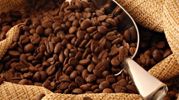 Khẳng định thương hiệu cà phê Việt tại thị trường Bắc Phi