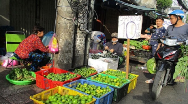 Campuchia cấm nhập khẩu 6 loại rau củ của Việt Nam do không khai báo kiểm dịch thực vật