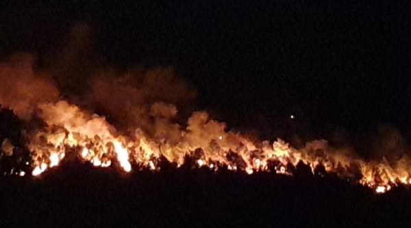 Nghệ An: Gần 1.500 người xuyên đêm chữa cháy rừng