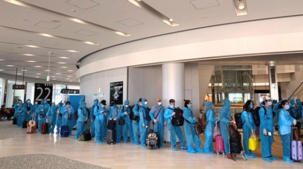 Đưa thêm hơn 225 công dân Việt Nam từ Nhật Bản về sân bay quốc tế Đà Nẵng an toàn
