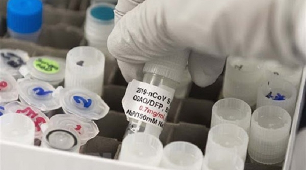 Việt Nam sắp thử nghiệm trên người vaccine ngừa Covid-19