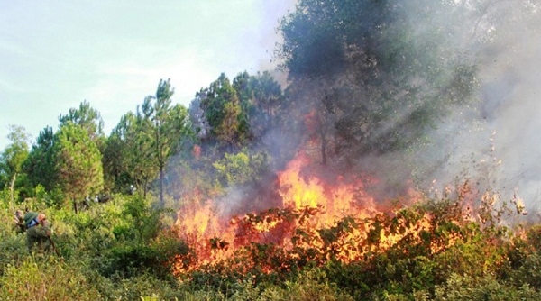UBND tỉnh Thanh Hóa chỉ đạo tăng cường các biện pháp cấp bách phòng cháy, chữa cháy rừng