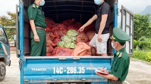 Quảng Ninh: Bắt giữ 2 đối tượng vận chuyển 1,5 tấn chân gà sơ chế xuất lậu sang biên giới