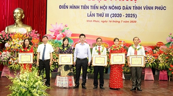 Hội Nông dân tỉnh Vĩnh Phúc tổ chức Hội nghị điển hình tiên tiến lần thứ III (2020 - 2025)