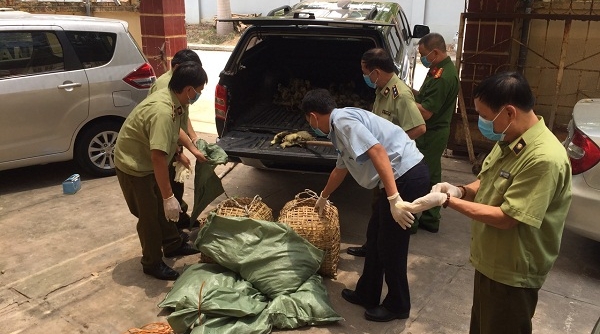Lạng Sơn: Bắt giữ số lượng lớn gia cầm nhập lậu qua biên giới