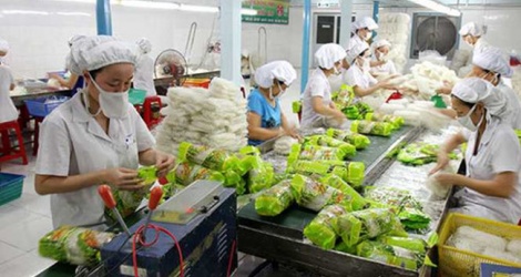 Xuất khẩu rau quả sang Thái Lan tăng cao