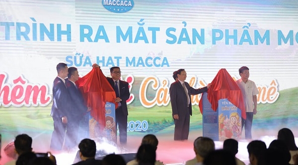 Macca Nutrition Việt Nam: Ra mắt 4 sản phẩm sữa hạt mắc ca hương vị mới nhiều dinh dưỡng