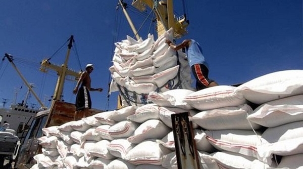 Cả nước có 192 doanh nhân đủ điều kiện kinh doanh xuất khẩu gạo