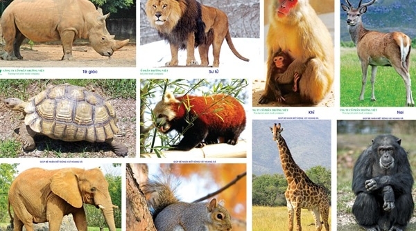Dừng nhập khẩu động vật hoang dã