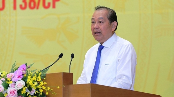 Phó thủ tướng Trương Hòa Bình: Tăng cường kiểm soát, nắm chắc tình hình về hoạt động buôn lậu