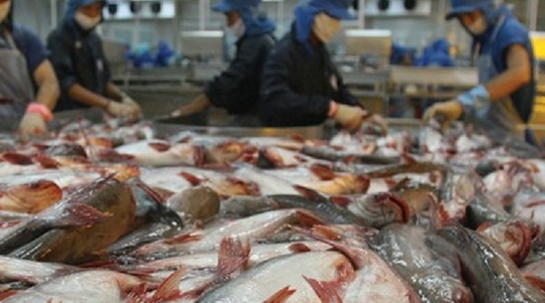Cổ phiếu HVG của ‘vua cá tra' Hùng Vương bị huỷ niêm yết bắt buộc từ ngày 5/8