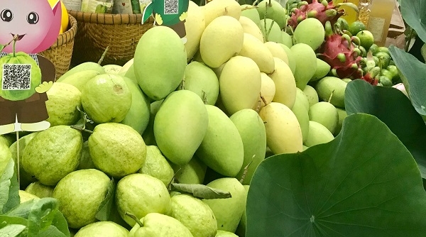 Nhiều mặt hàng trái cây của Việt Nam đang được người tiêu dùng Mỹ ưa chuộng