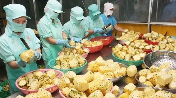 Xuất khẩu rau quả sang Trung Quốc sụt giảm gần 30%