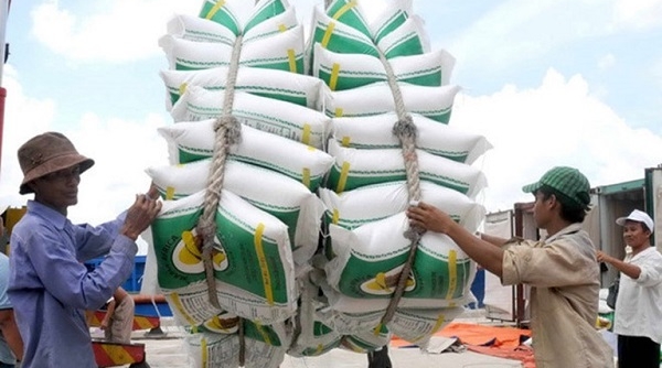 Doanh nghiệp Costa Rica muốn mua gạo Việt Nam