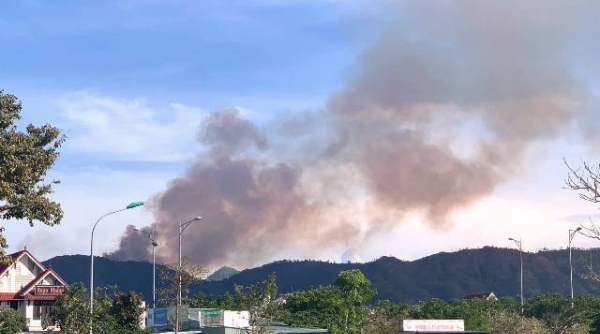 Đà Nẵng: Cháy rừng dữ dội ở huyện Hòa Vang