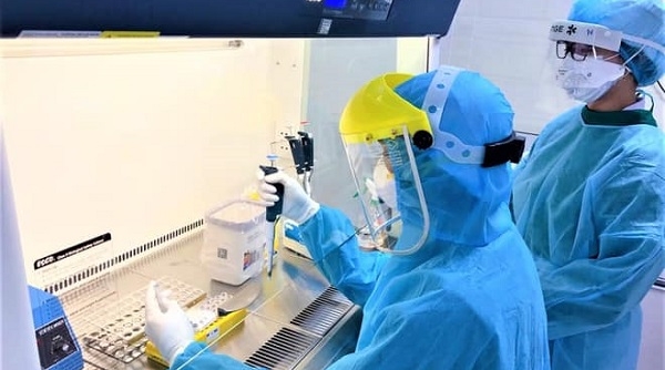 Bộ Y tế hướng dẫn việc gộp mẫu xét nghiệm SARS-CoV-2
