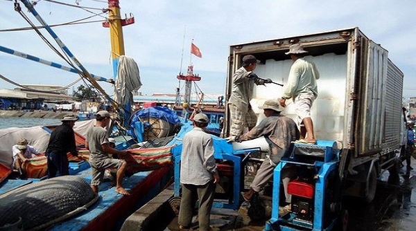 Lập các chốt kiểm tra chống COVID-19 tại các cảng cá ở Bình Định
