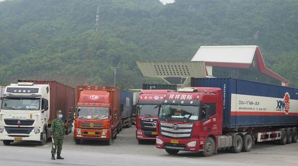 Hàng trăm xe hàng nông sản xuất khẩu tại Lạng Sơn chưa được thông quan