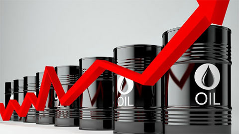 Giá xăng dầu hôm nay 11/8: Dầu tăng trở lại do nhu cầu năng lượng tăng